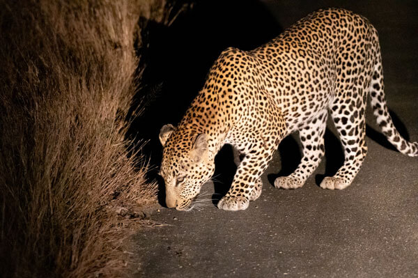 Gallery impression 7